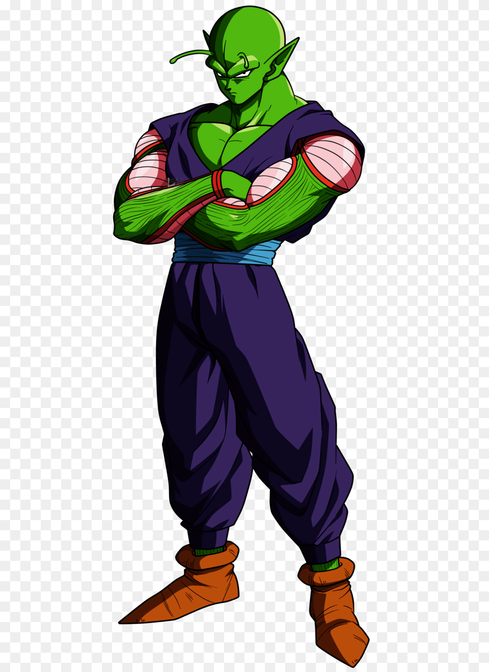 Piccolo, Adult, Person, Man, Male Png Image