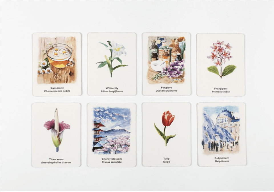 Pick A Flower A Memory Game, Mail, Envelope, Greeting Card, Art Free Transparent Png
