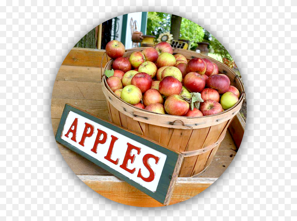 Pick Up Apple Kansas City, Food, Fruit, Photography, Plant Png