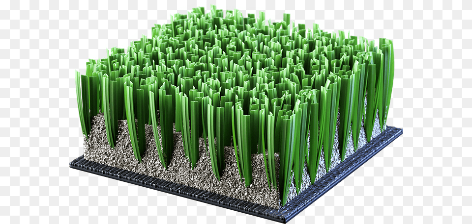 Picket Fence, Green, Pottery, Plant, Grass Free Transparent Png