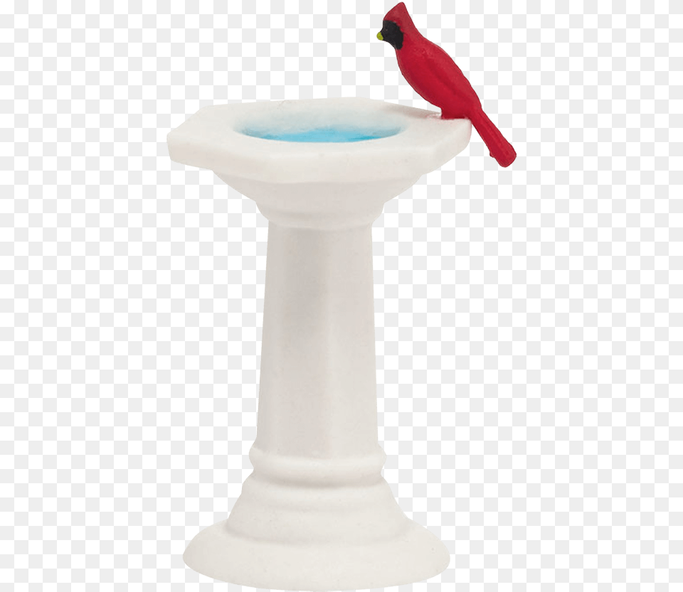 Picket Lane Bird Bath Songbird, Person, Animal Free Png Download