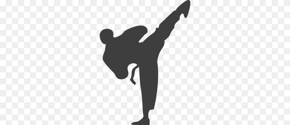 Pickkick, Martial Arts, Person, Sport, Adult Free Transparent Png