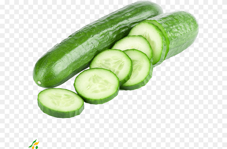 Pickled Cucumber Cucumber Sandwich Vegetable Vegetarian Transparent Background Cucumber, Food, Plant, Produce Png