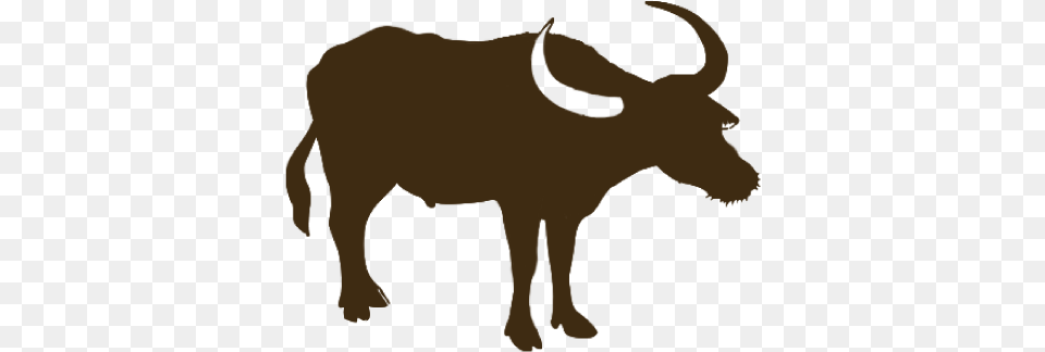 Pickup Or Carry Out Ox, Animal, Buffalo, Mammal, Wildlife Png