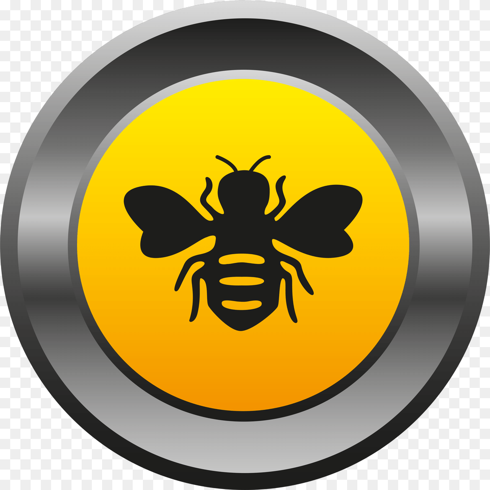 Pics Desktop Backgrounds The Concept Beebee Automotive Honeybee, Animal, Bee, Insect, Invertebrate Png Image