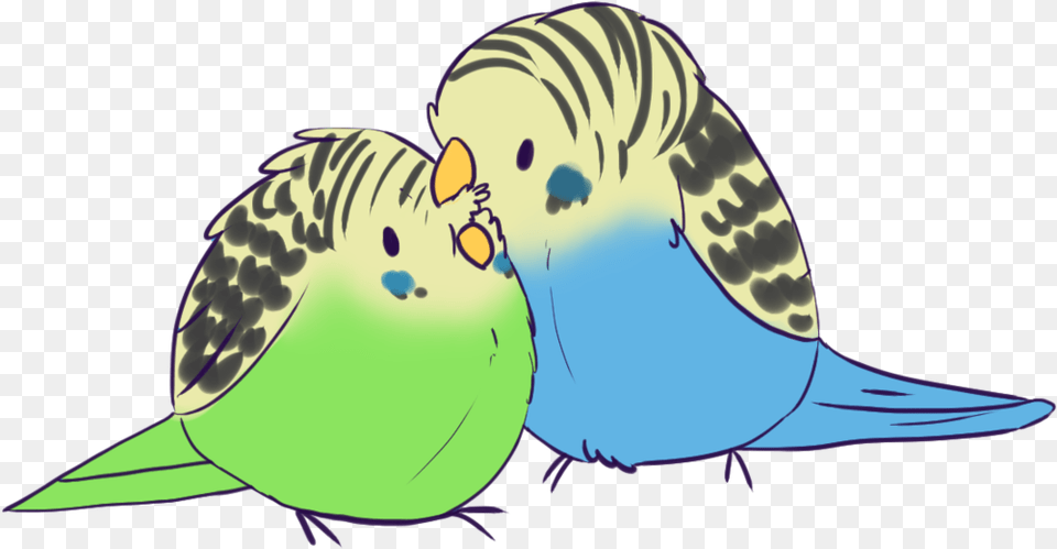 Pics For Cute Drawing Cute Parakeet Drawings, Animal, Bird, Parrot, Fish Free Png Download
