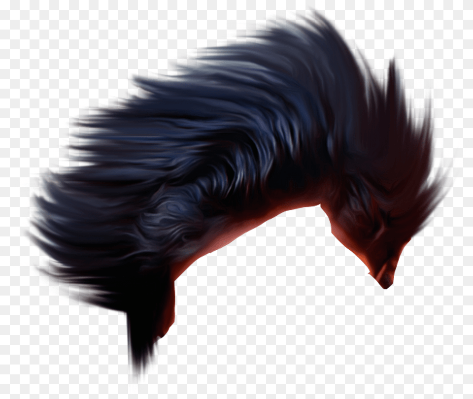 Picsart Background Images Hd Free Png