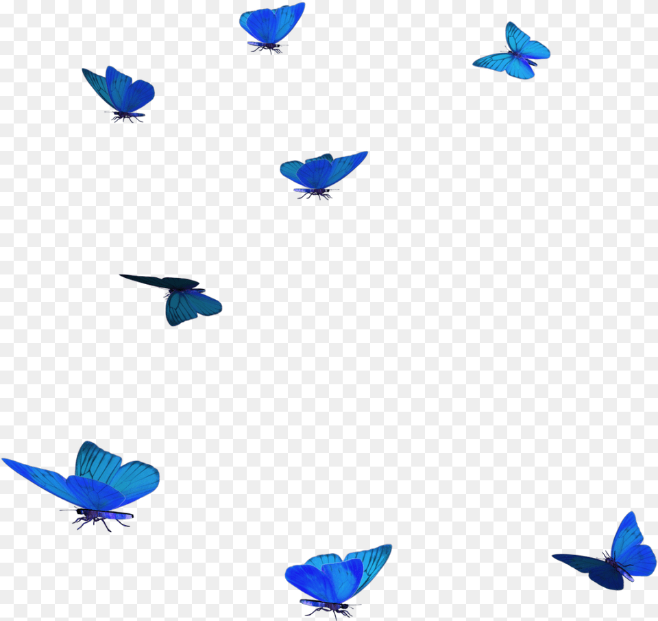Picsart Butterfly, Animal, Bird, Flying Free Png Download