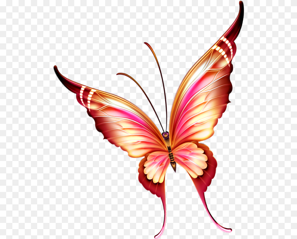 Picsart Butterfly Tattoo Butterfly Beautiful Flower Clip Art, Graphics, Accessories, Pattern, Floral Design Png