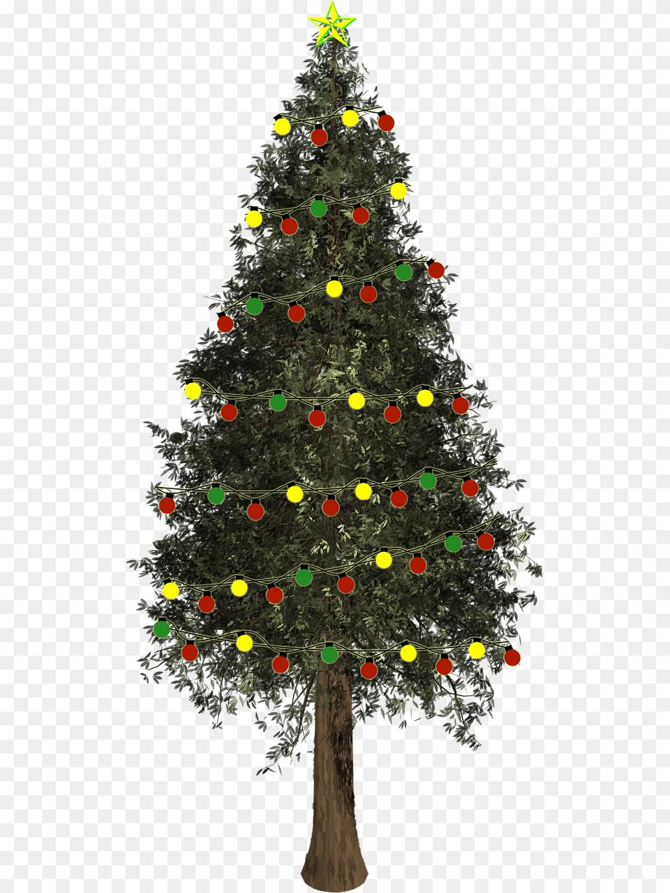 Picsart Christmas Photo Editing, Plant, Tree, Christmas Decorations, Festival Free Transparent Png