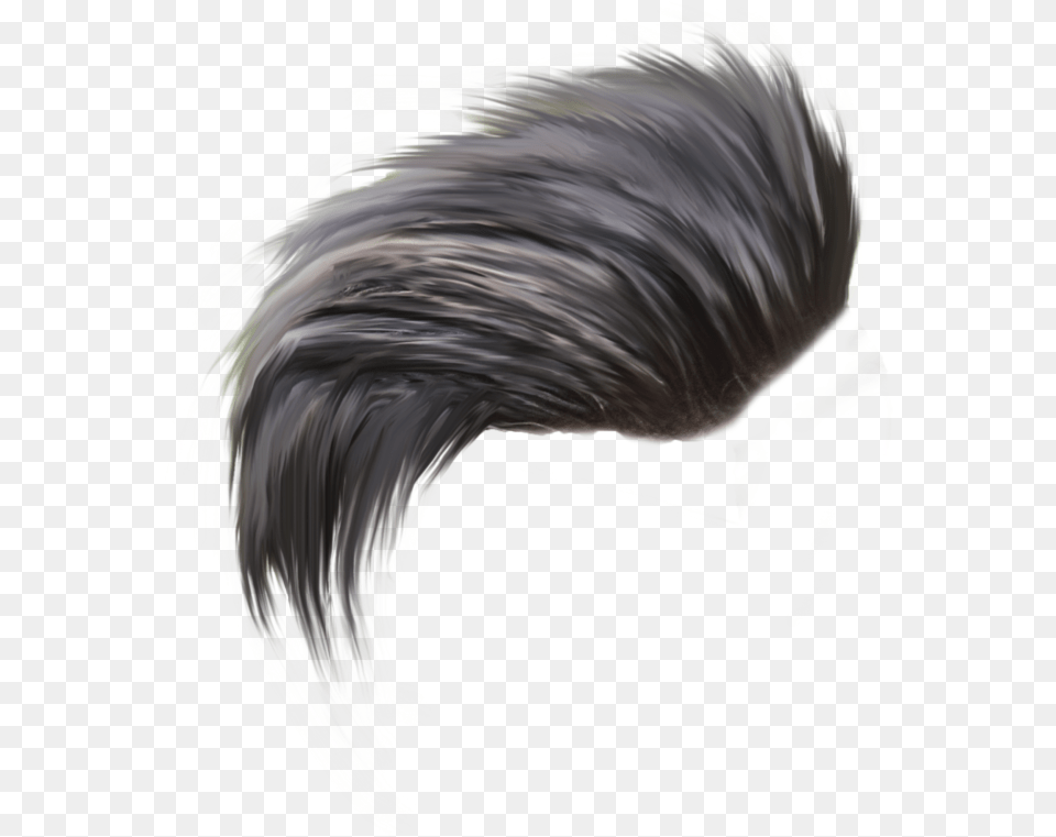 Picsart Download Hair For Picsart, Animal, Beak, Bird Png