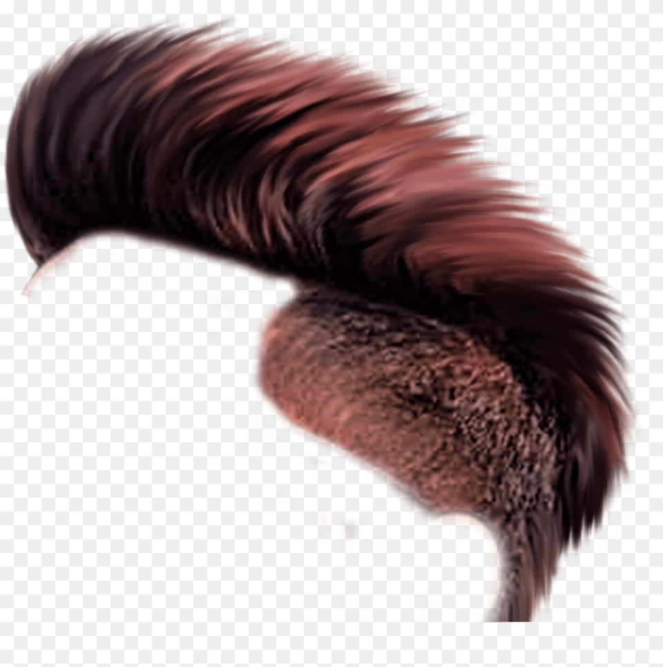 Picsart Stylish Hair, Animal, Bird, Mohawk Hairstyle, Person Free Png Download