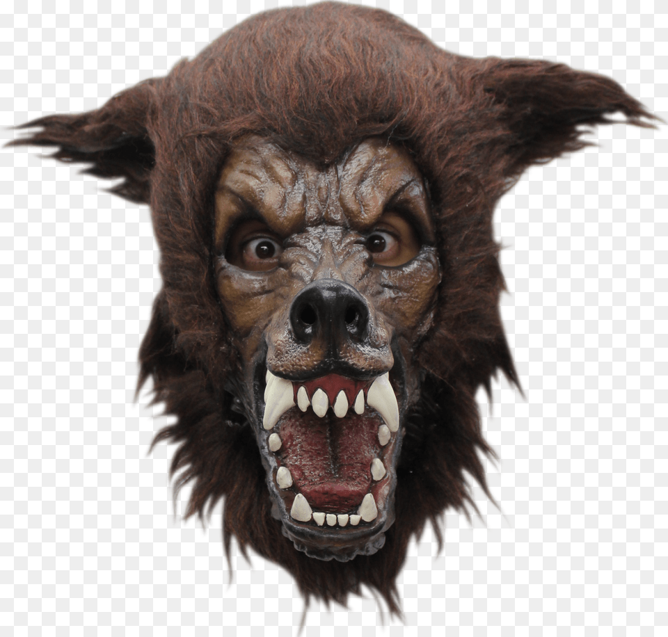 Picture 1 Of Big Bad Wolf Mask, Animal, Dinosaur, Reptile, Ape Free Png