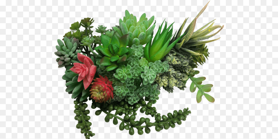 Picture 1 Of Bouquet, Plant, Flower, Flower Arrangement, Green Free Png