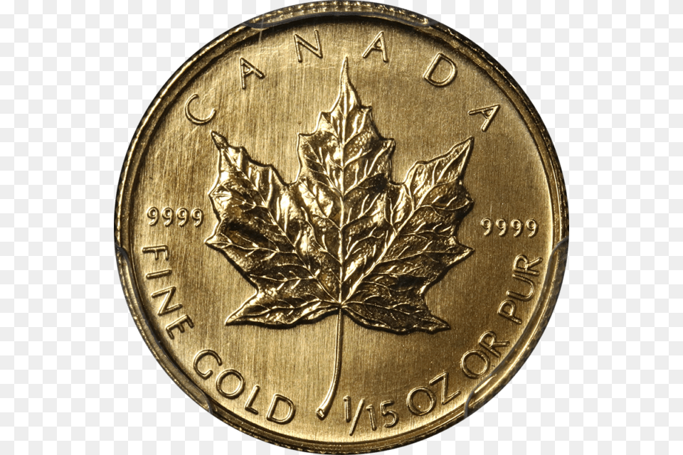 Picture 1 Of Coin, Leaf, Plant, Money, Gold Free Transparent Png