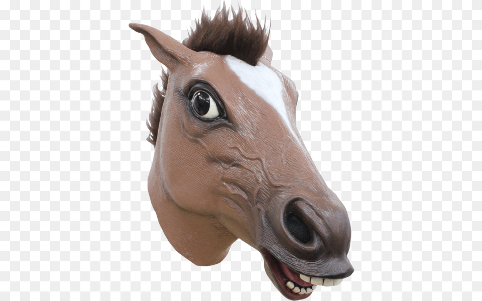 Picture 1 Of Horse Mask, Animal, Colt Horse, Mammal, Bird Free Png