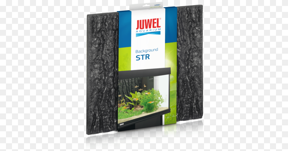Picture 1 Of Juwel 250 Backgrounds, Animal, Aquarium, Fish, Plant Free Transparent Png