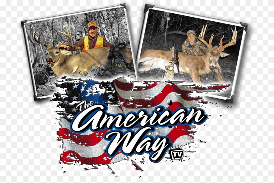 Picture American Way, Animal, Wildlife, Deer, Mammal Free Png