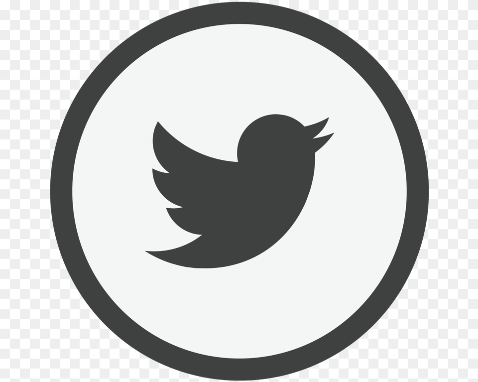 Picture Animated Twitter Bird Flying Gif, Logo, Symbol Free Transparent Png