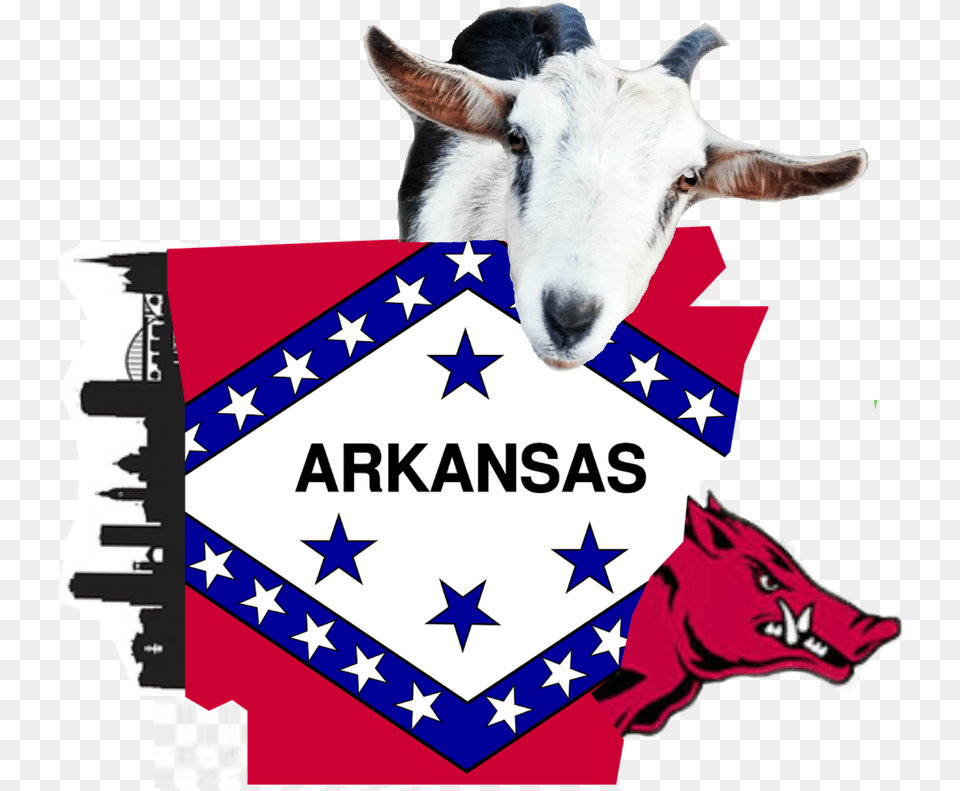 Picture Arkansas State Flag Clip Art, Livestock, Animal, Goat, Mammal Png Image