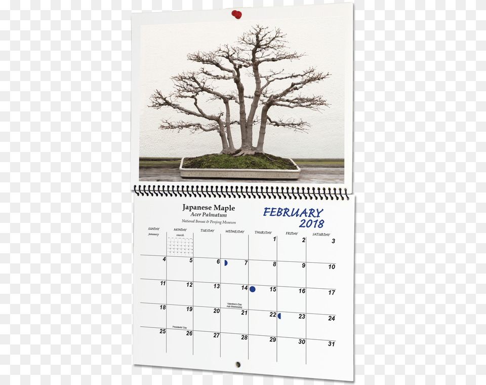 Picture Art, Text, Calendar, Plant, Tree Png