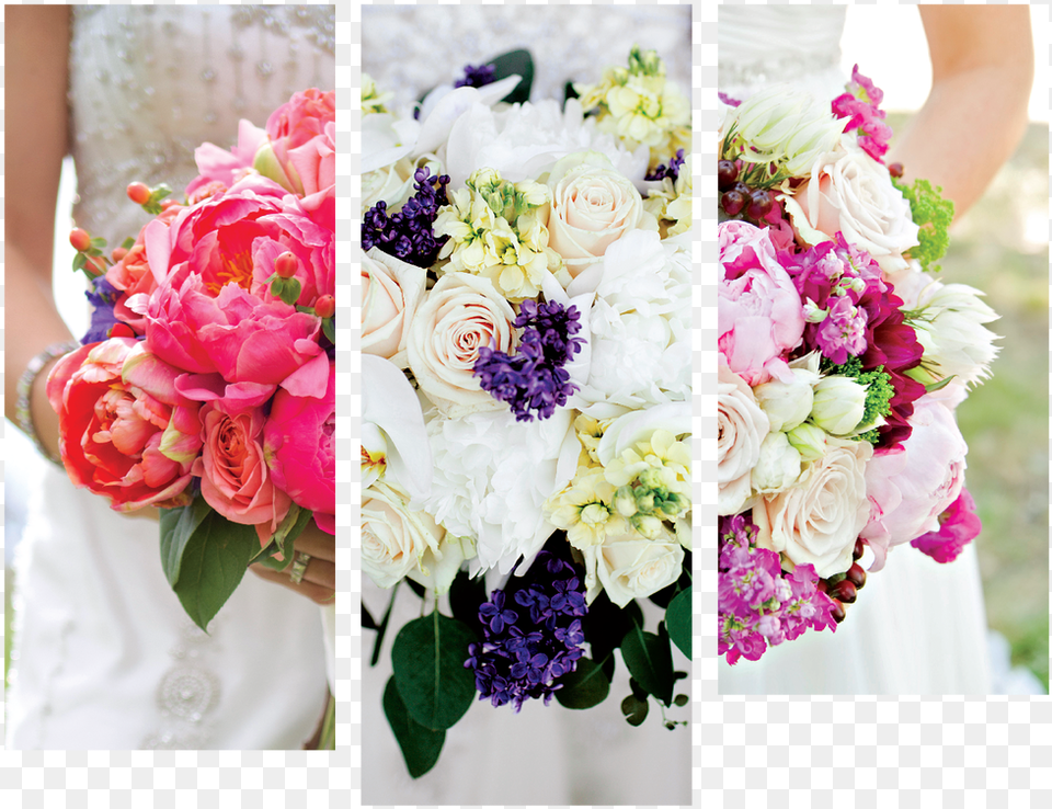 Picture Bouquet, Flower Bouquet, Flower Arrangement, Plant, Flower Free Transparent Png