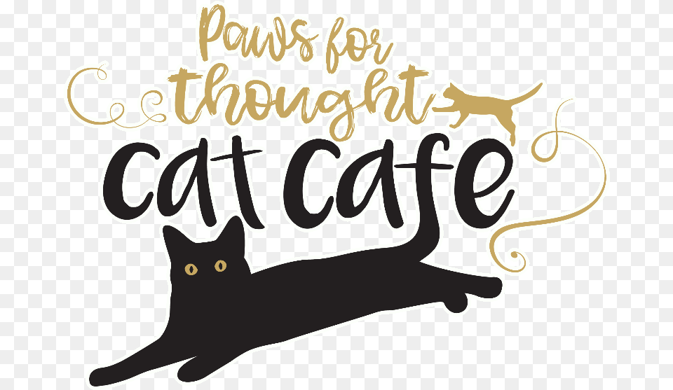 Picture Calligraphy, Animal, Cat, Mammal, Pet Png