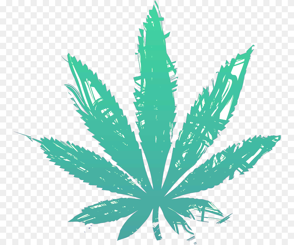 Picture Cannabis Leaf Transparent Background, Plant, Weed, Herbal, Herbs Png
