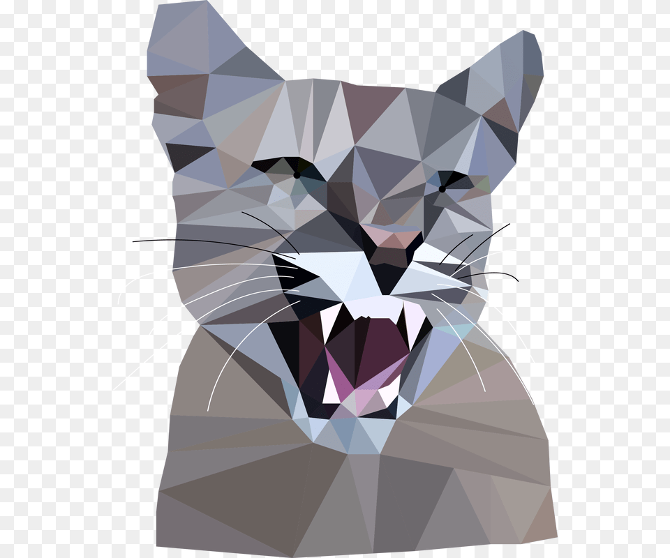 Picture Cat, Person, Animal, Mammal Png Image
