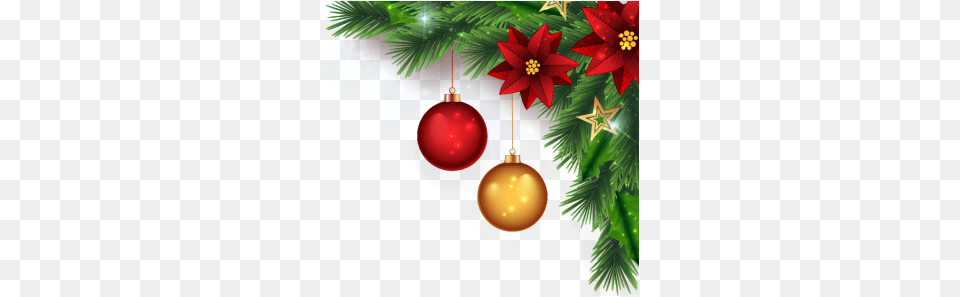Picture Christmas Profile Border, Accessories, Ornament, Plant, Tree Free Png