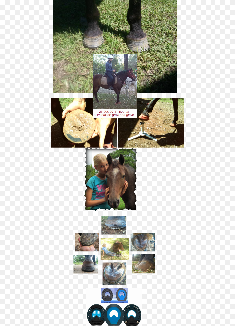 Picture Collage, Nature, Park, Grass, Photography Png Image