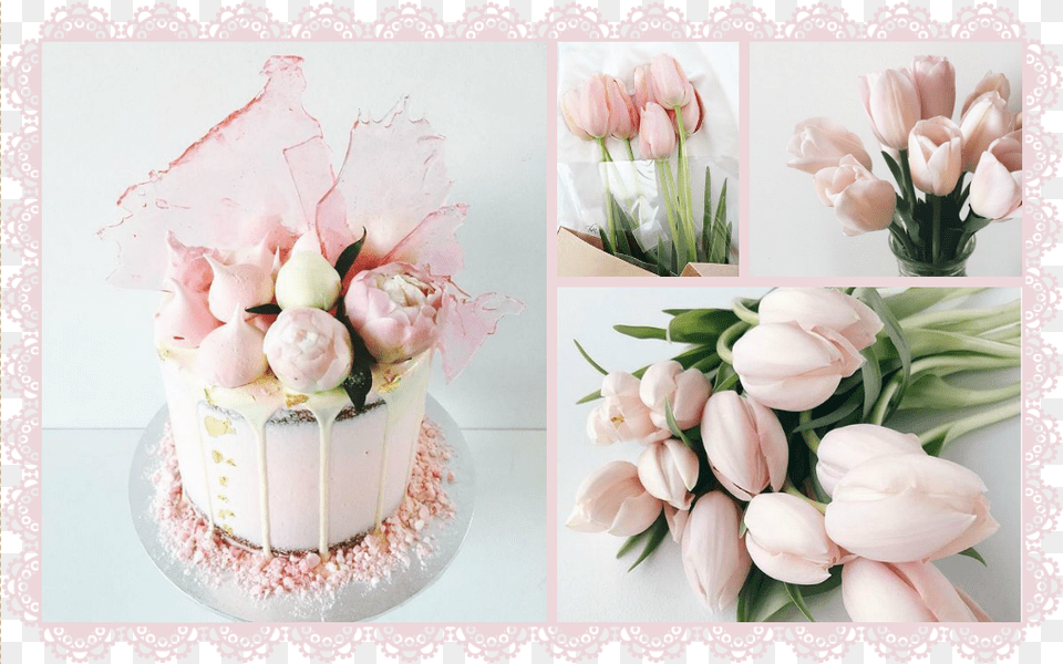 Picture Collage Maker Templates Beautiful Fotor Editing Pink Tulips Backpack By, Plant, Flower, Flower Arrangement, Flower Bouquet Png
