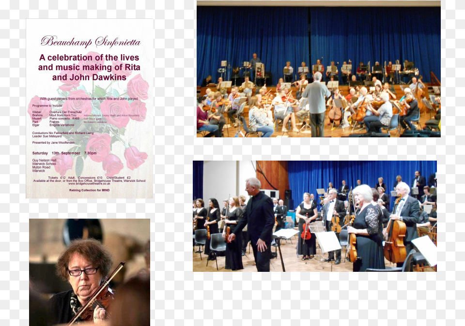 Picture Concert, Room, Person, Performer, Orchestra Png Image