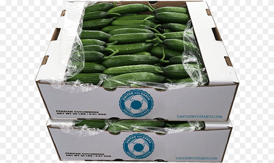 Picture Cucumber Wholesale In Boxes, Box, Food, Produce, Plant Png