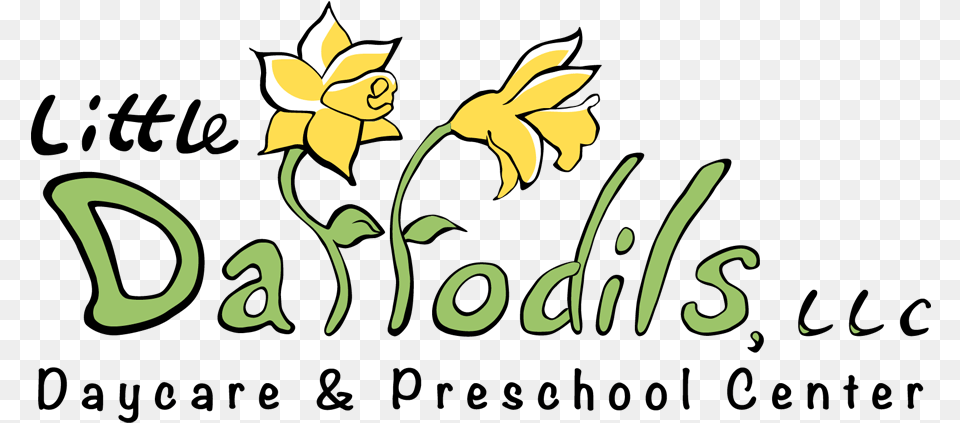 Picture Daffodils In Different Fonts, Daffodil, Flower, Plant Free Png