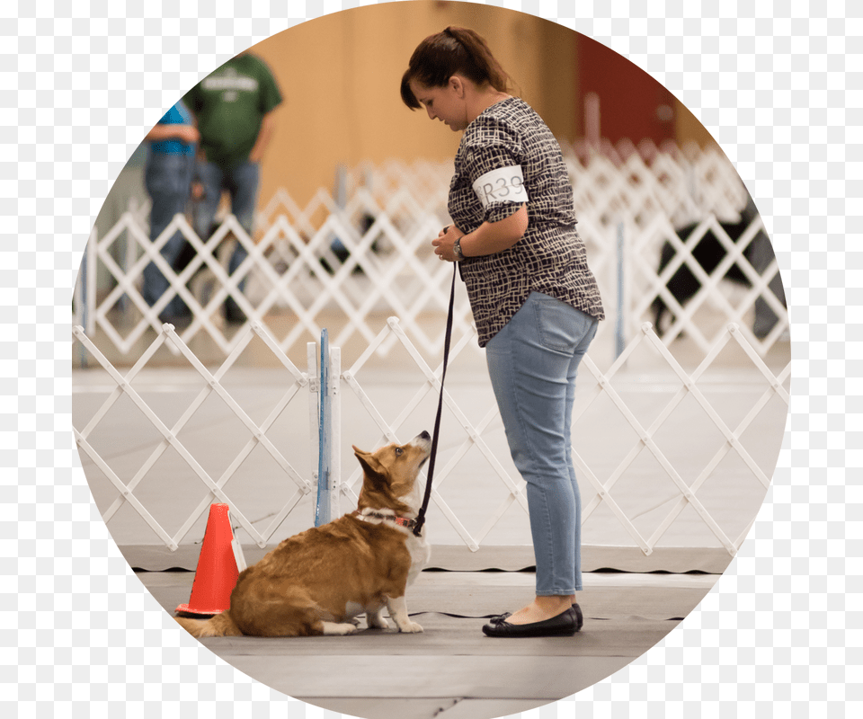 Picture Dog Walking, Accessories, Strap, Photography, Clothing Free Png Download