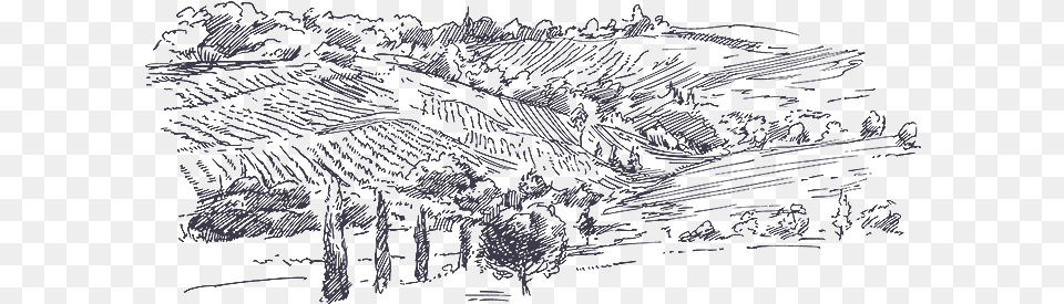 Picture Download Judean Montefiore Wines In Old Vineyard Draw, Art, Drawing, Blackboard Png Image