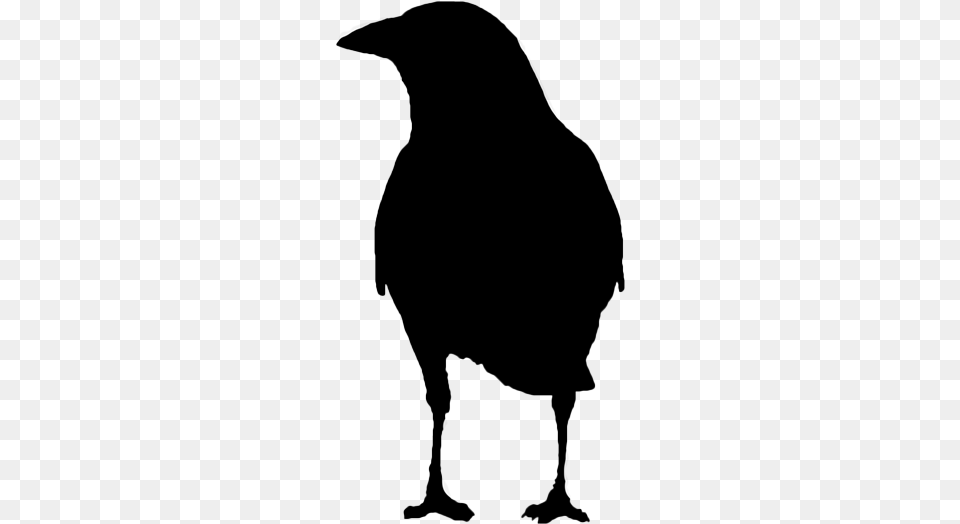 Picture Fish Crow, Gray Png