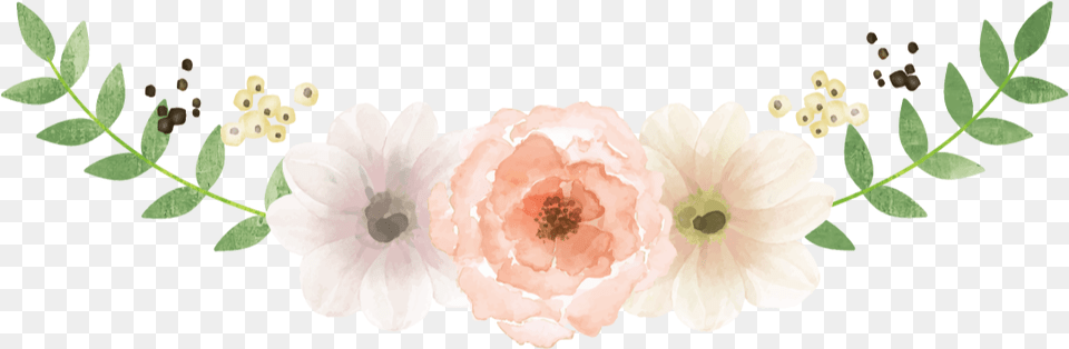 Picture Flower Decorative Border, Anemone, Plant, Petal, Rose Free Png