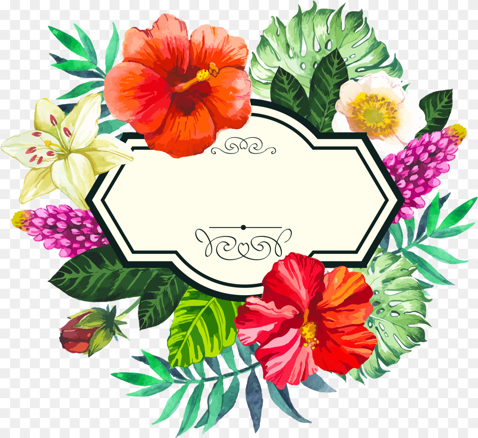 Picture Flower Painted Frame Hand Tropical Flowers Vector, Art, Pattern, Plant, Graphics Free Png
