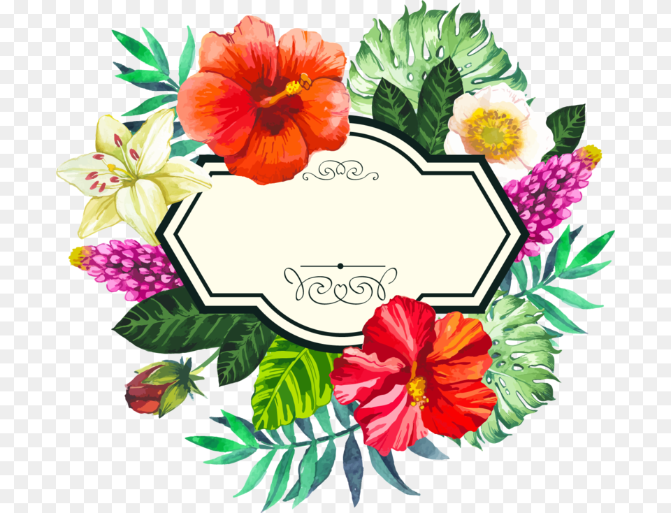 Picture Flower Painted Frame Hand Watercolor Tropical Vector Frame Flowers, Art, Pattern, Graphics, Floral Design Free Png