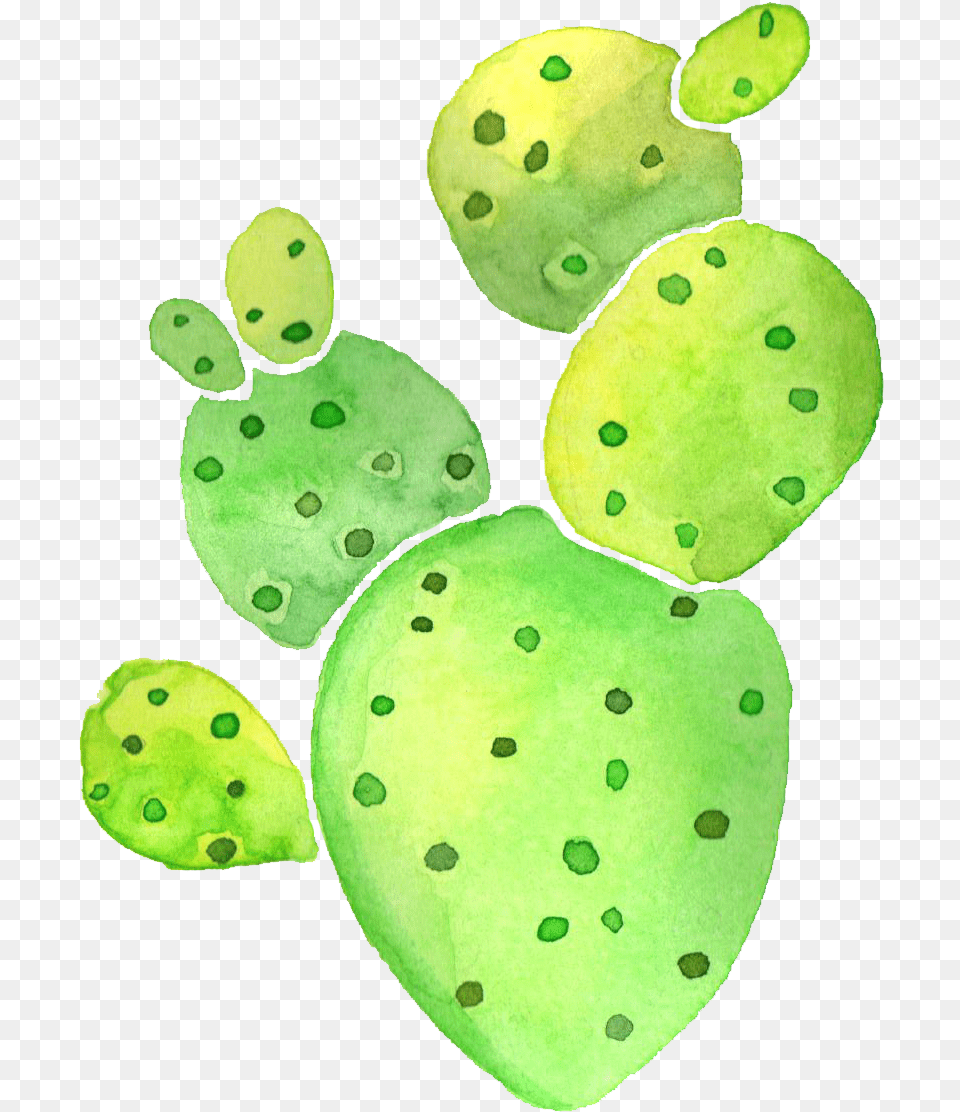 Picture For Bullet Journal, Leaf, Plant, Toy Free Transparent Png