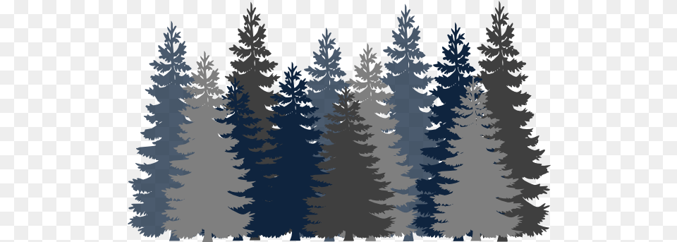 Picture Forest Clipart Transparent Background, Conifer, Fir, Pine, Plant Png