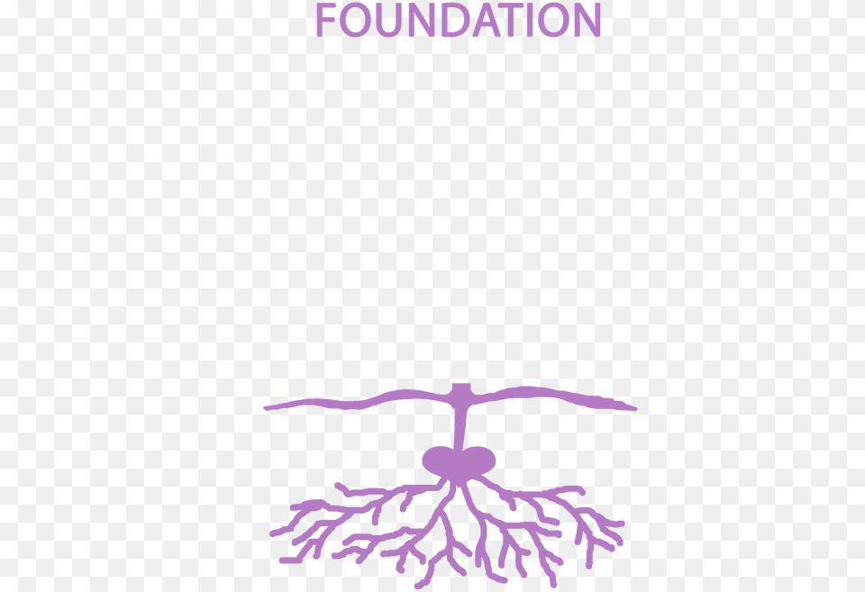 Picture Foundation, Plant, Root, Purple Png Image