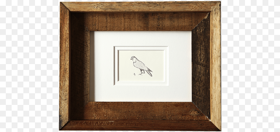 Picture Frame, Animal, Bird, Wood, Photo Frame Png