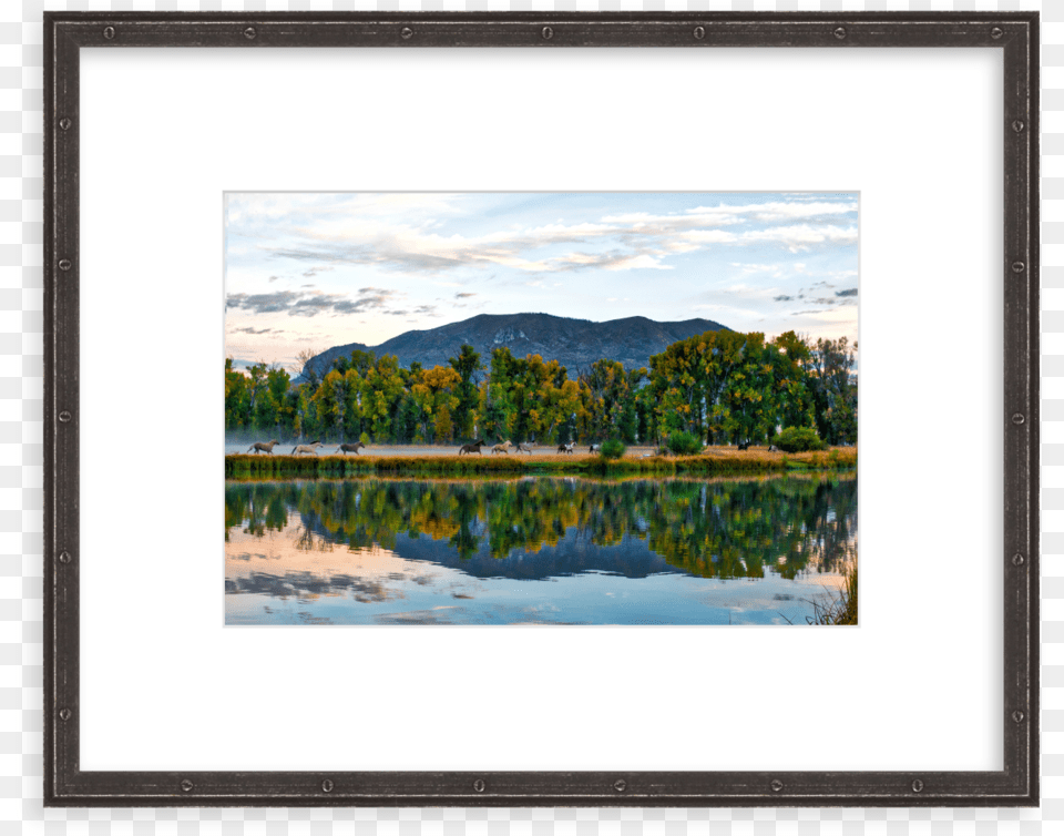 Picture Frame, Outdoors, Plant, Lake, Nature Png