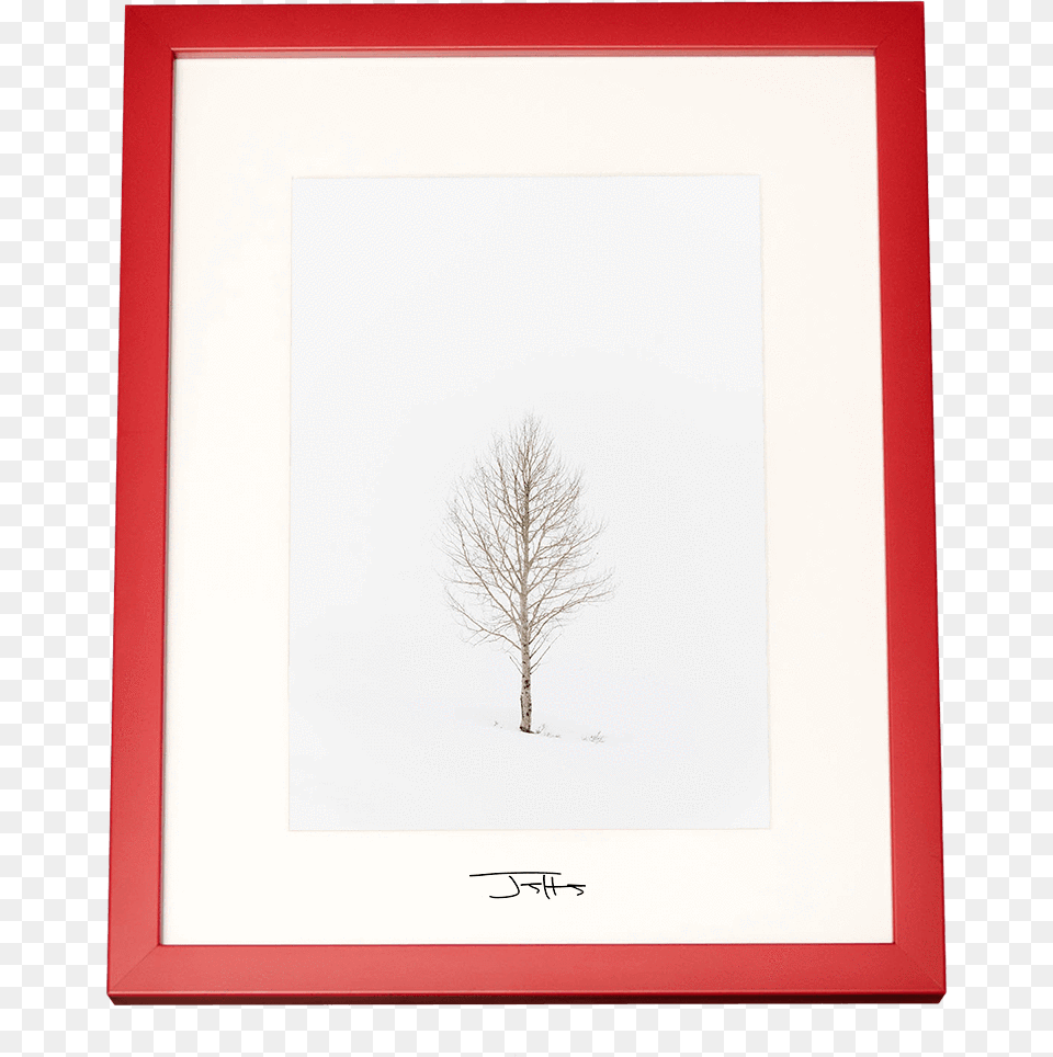 Picture Frame, Plant, Tree, Outdoors, Nature Png Image