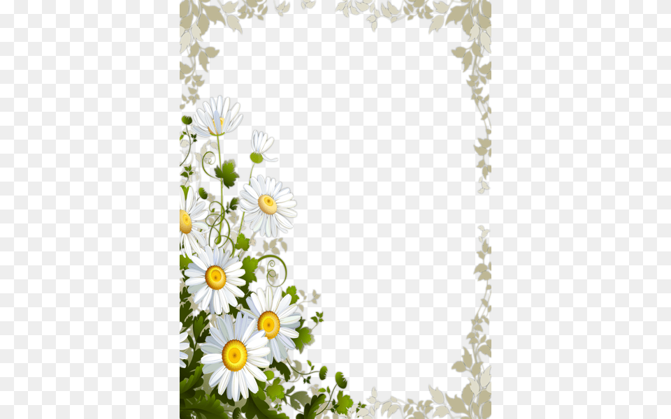 Picture Frame, Daisy, Flower, Plant, Art Png Image