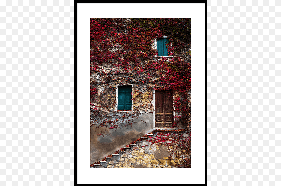 Picture Frame, Architecture, Building, Leaf, Plant Free Png