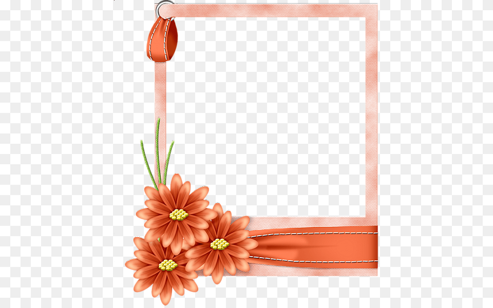Picture Frame, Plant, Greeting Card, Flower, Envelope Png